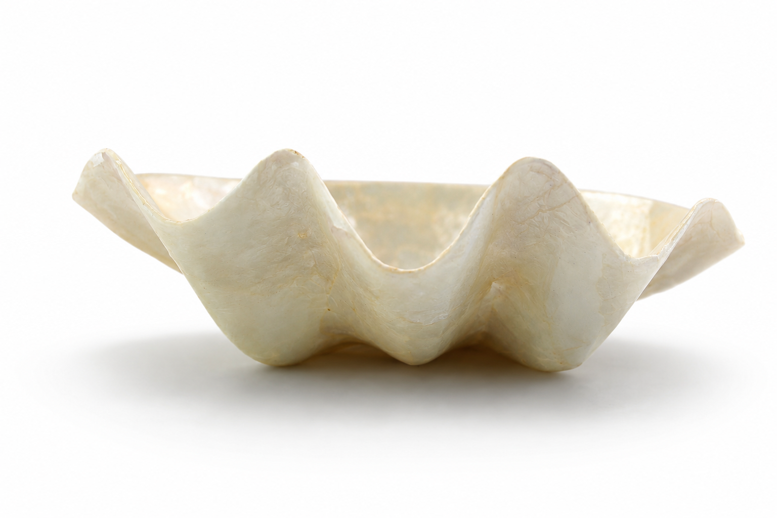 SOAP DISH CAPIZ CLAM