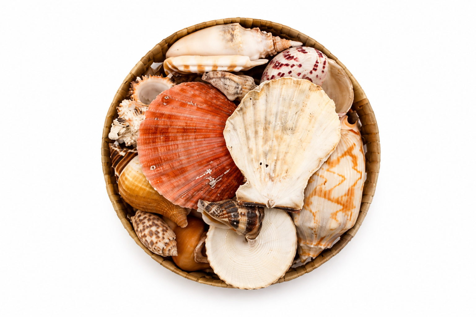 PANDAN SHELL PACK ROUND W/O STARFISH