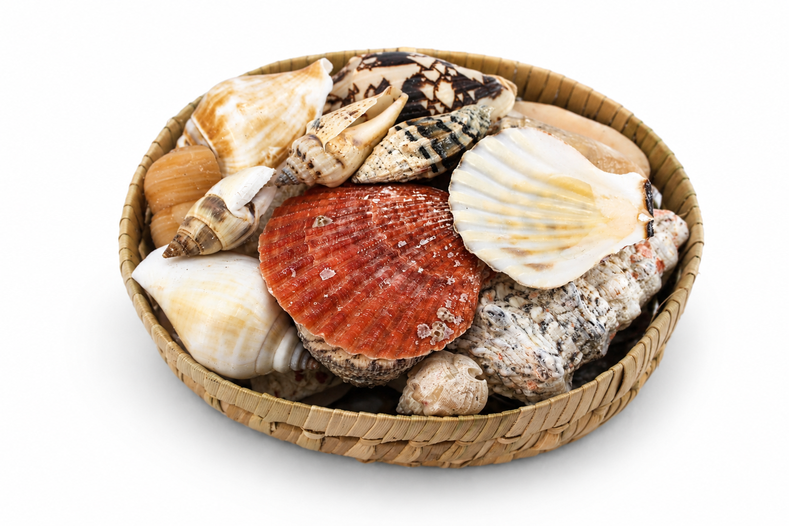 PANDAN SHELL PACK OVAL W/O STARFISH