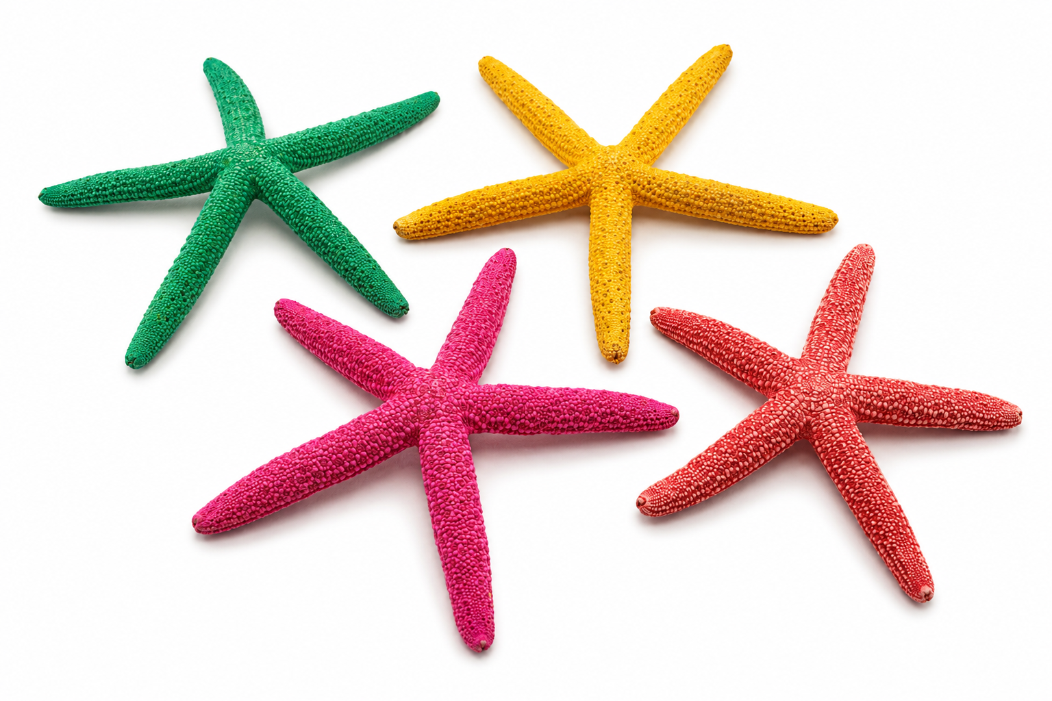 FINGER STARFISH MIX COLORED