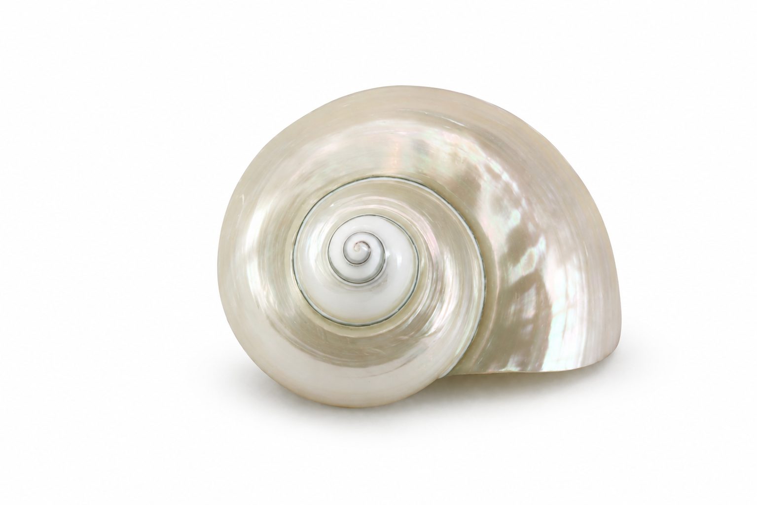 TURBO IMPERIAL PEARL