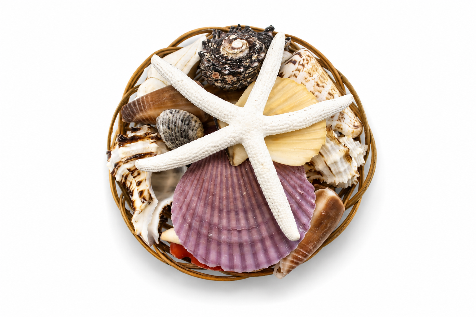 SHELL PACK 4" W/ WHITE FINGER STARFISH