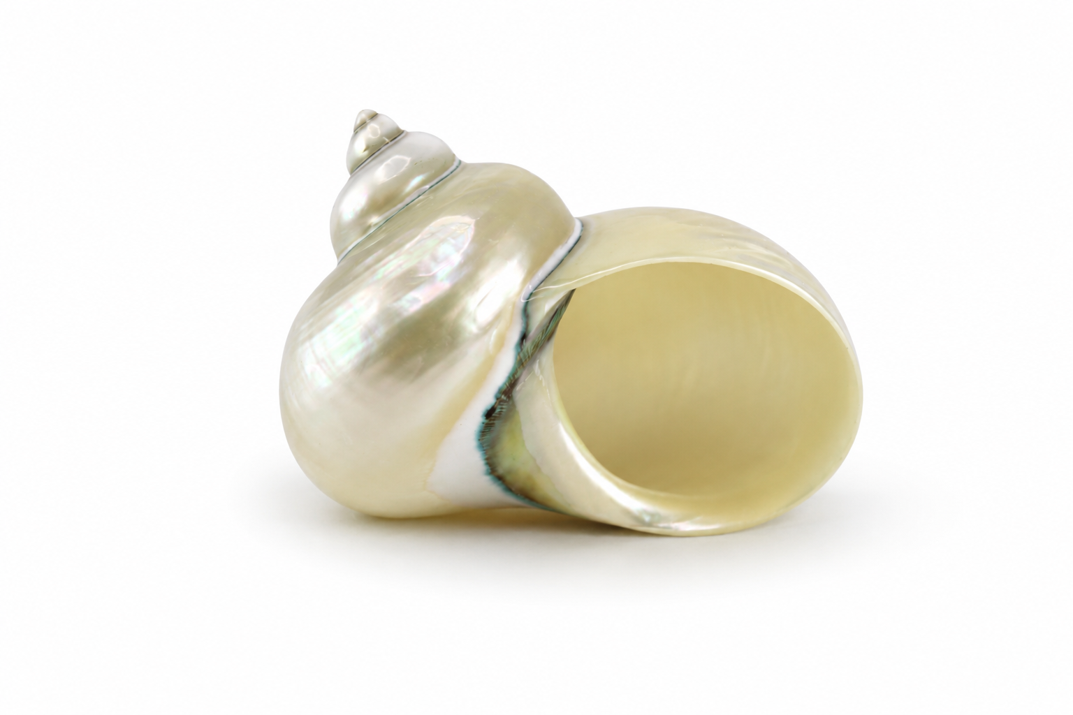 TURBO IMPERIAL PEARL