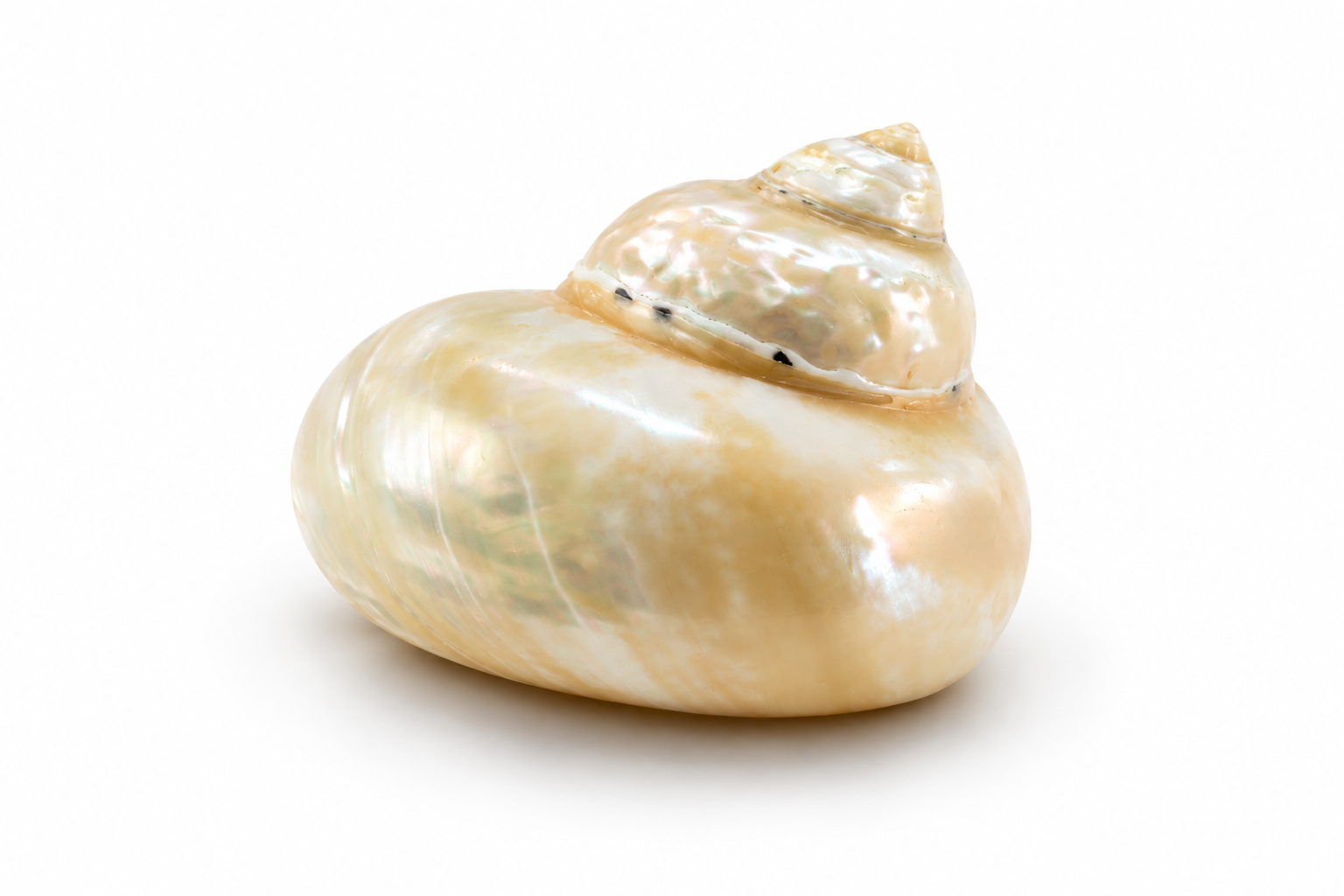 CITTARIUM PICA PEARLIZED