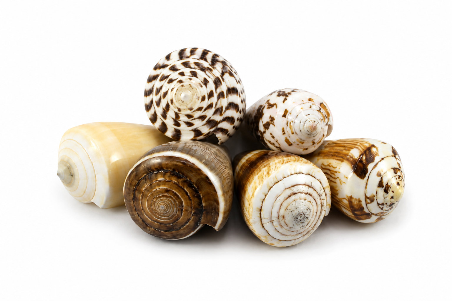 ASSORTED CONUS