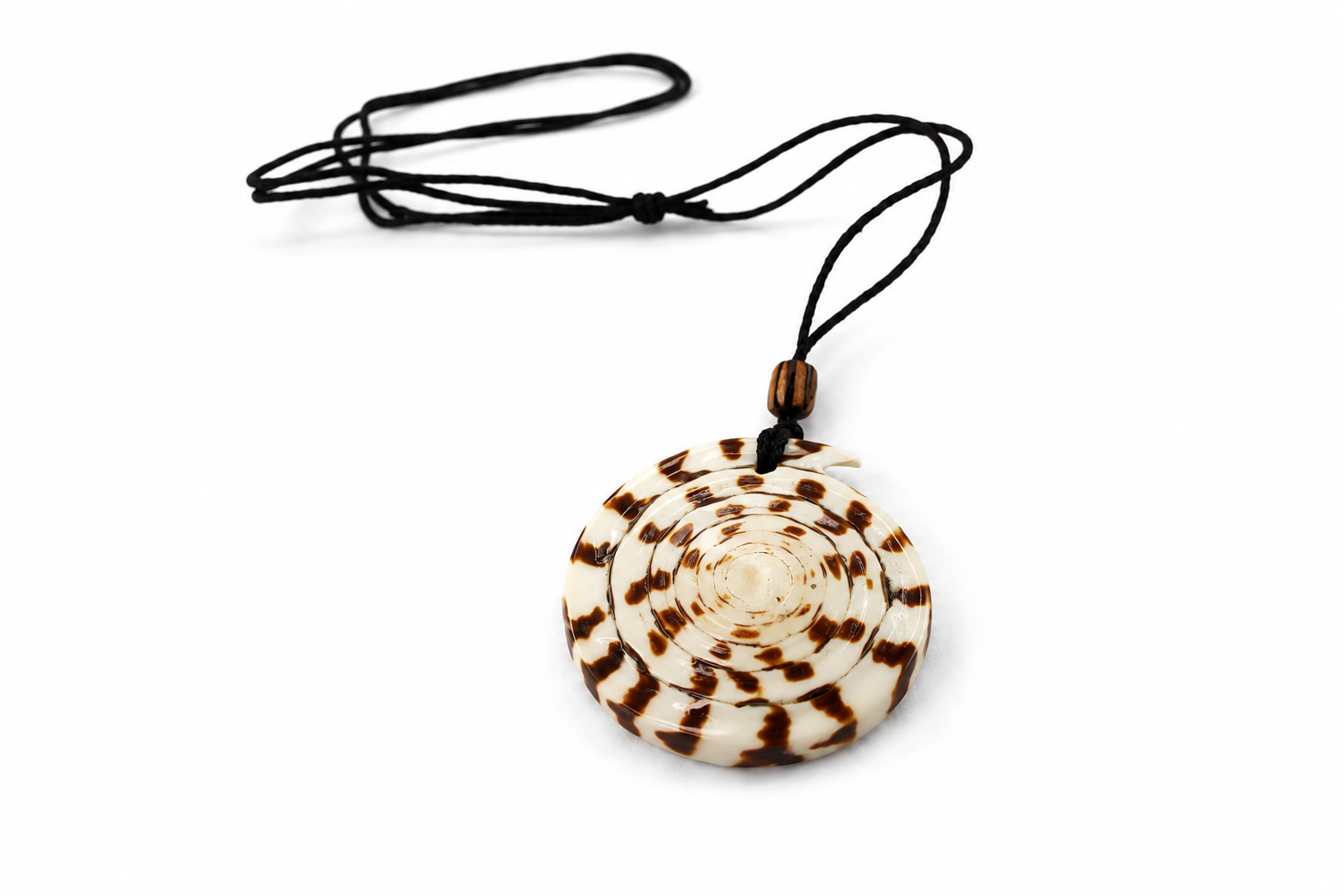PENDANT CONUS LITTERATUS
