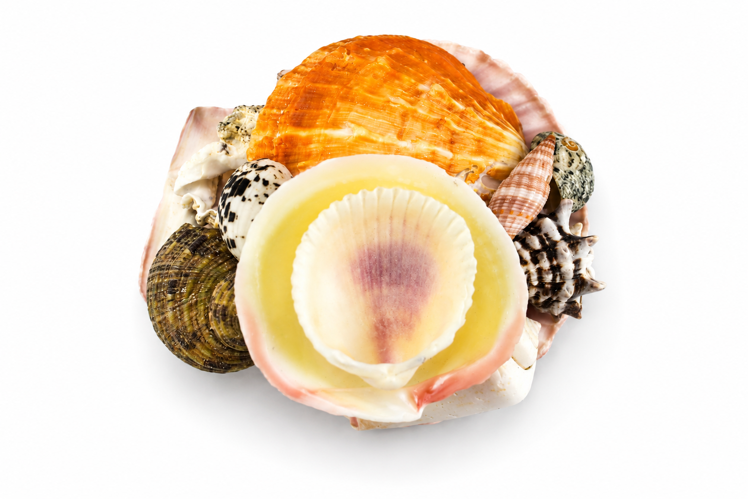 TIGRINA SHELL PACK