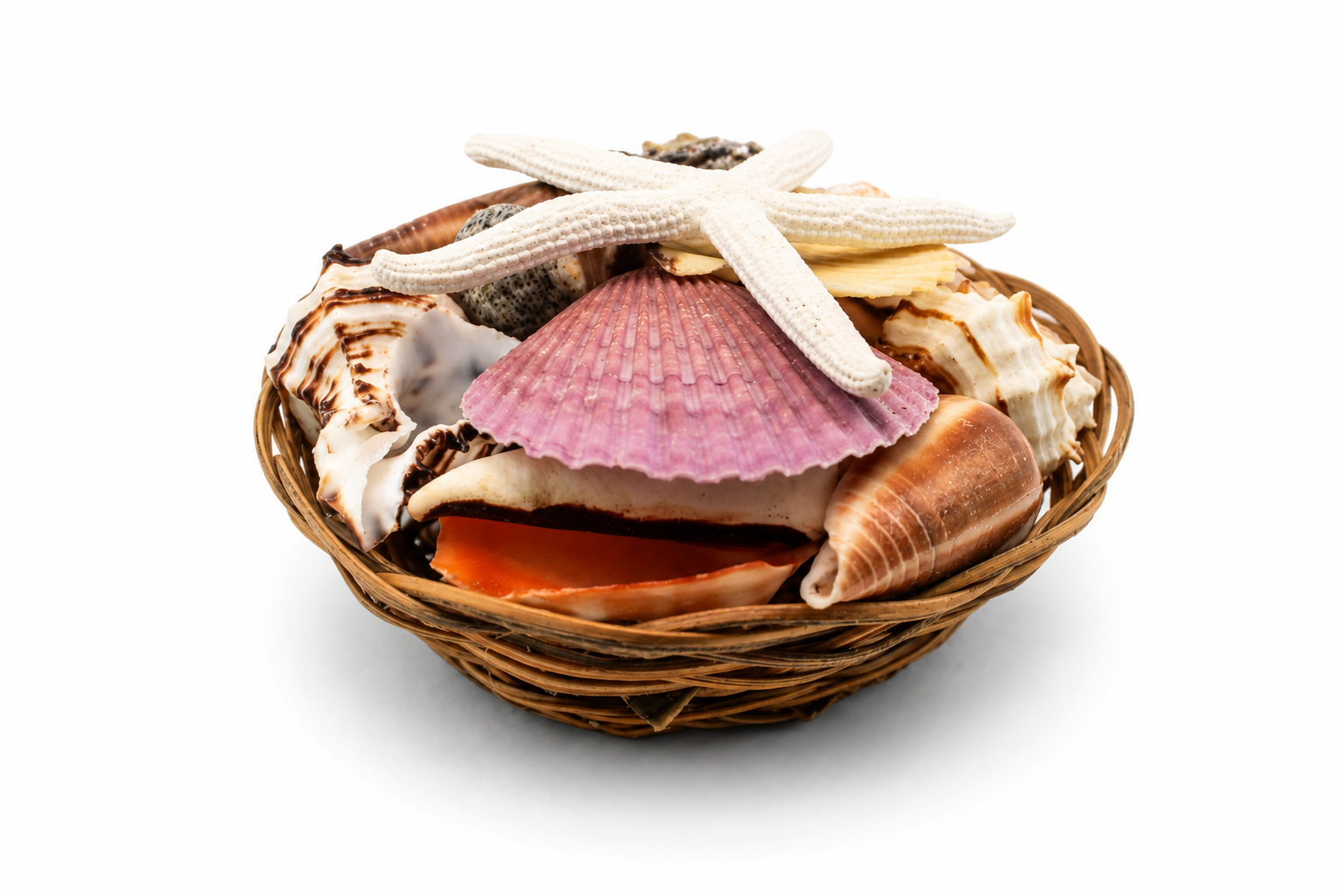 SHELL PACK 4" W/ WHITE FINGER STARFISH