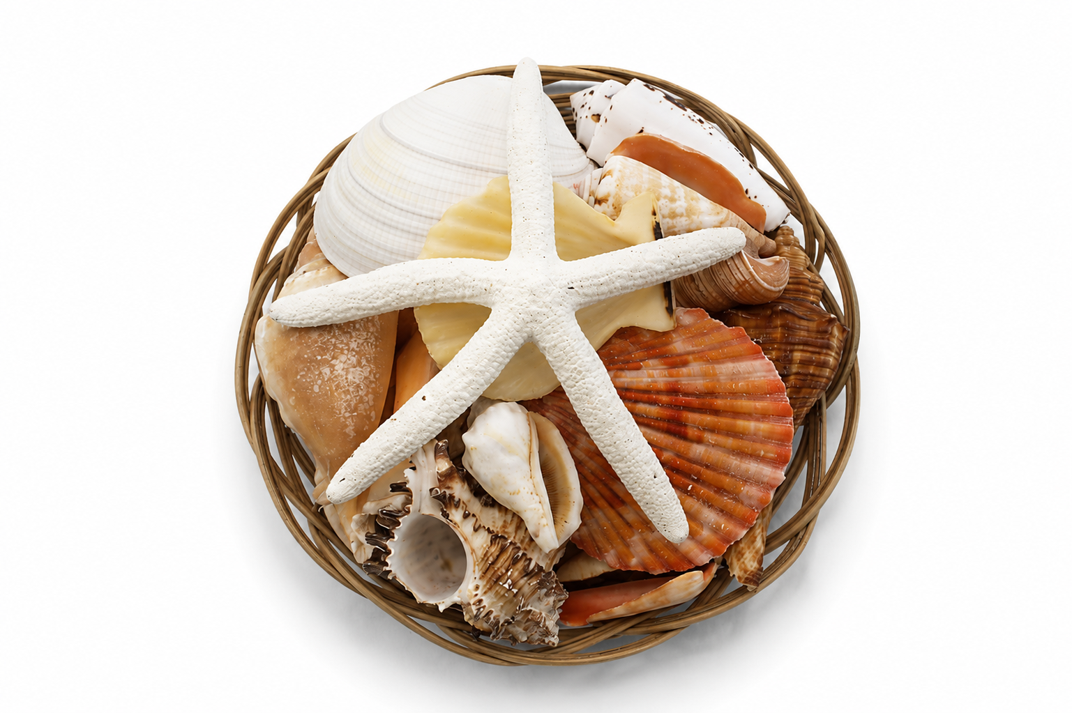 SHELL PACK W/ WHITE FINGER