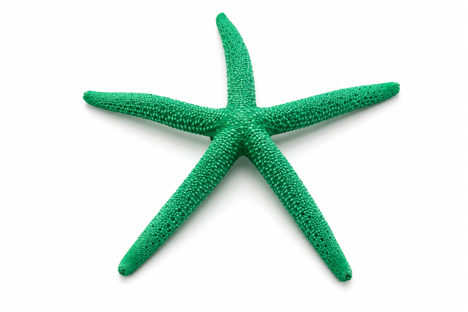 FINGER STARFISH MIX COLORED