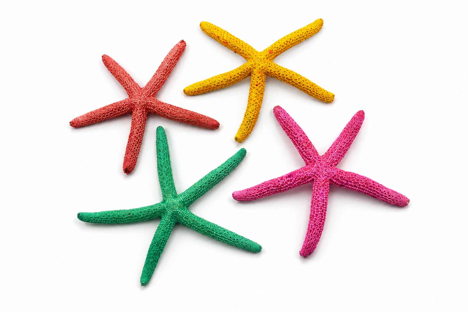 FINGER STARFISH MIX COLORED