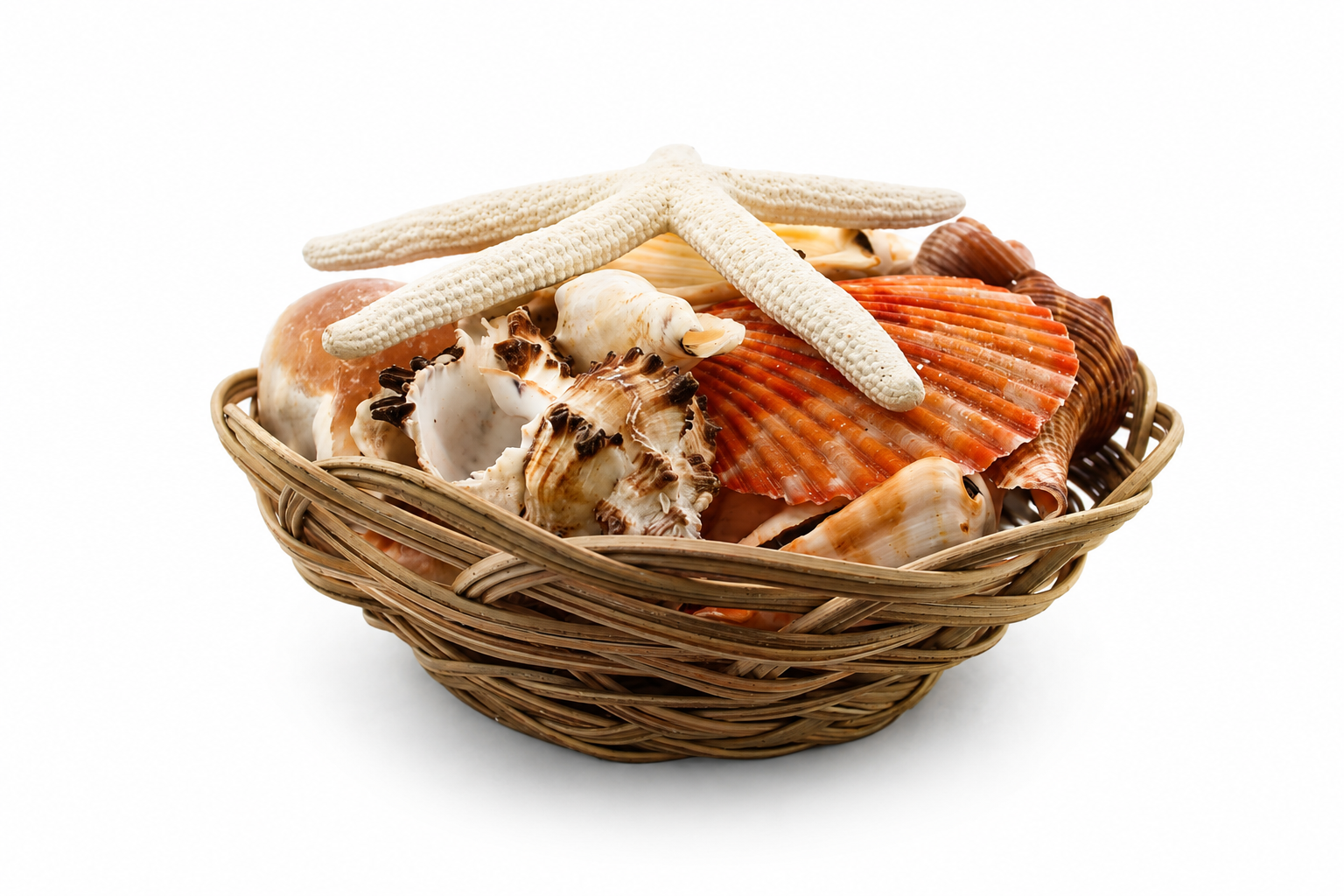 SHELL PACK W/ WHITE FINGER