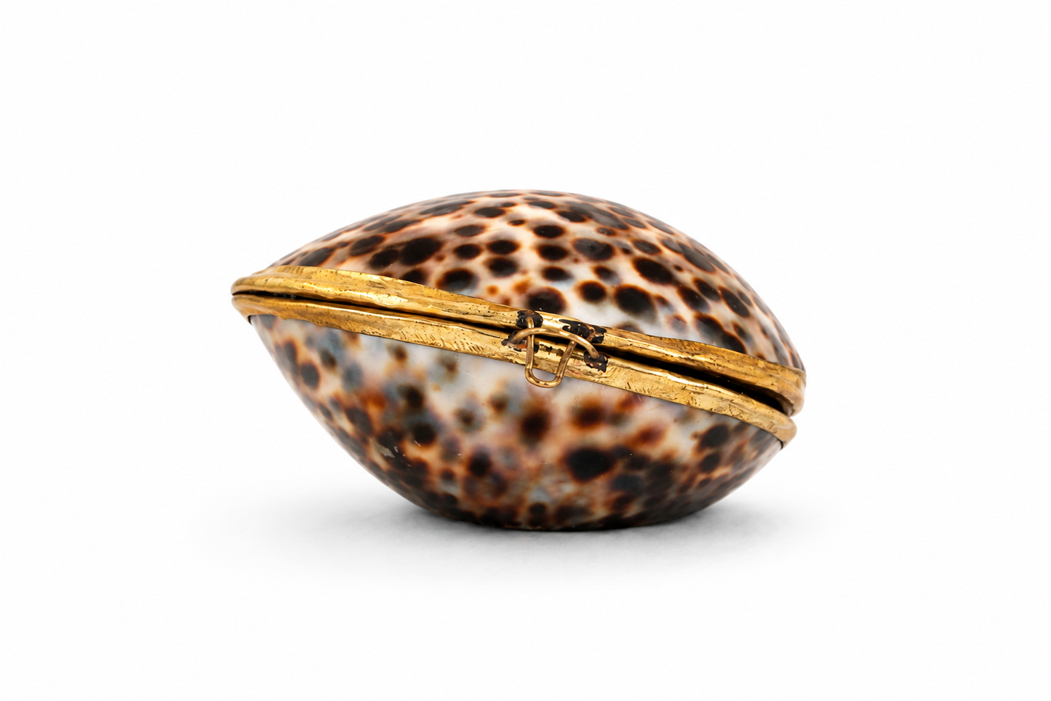 PURSE COWRY
