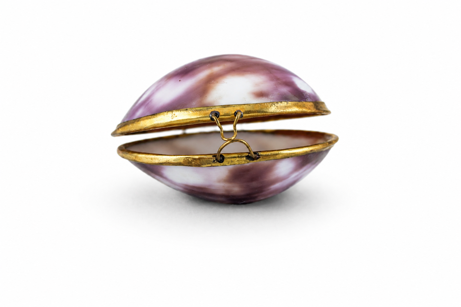 PURSE COWRY