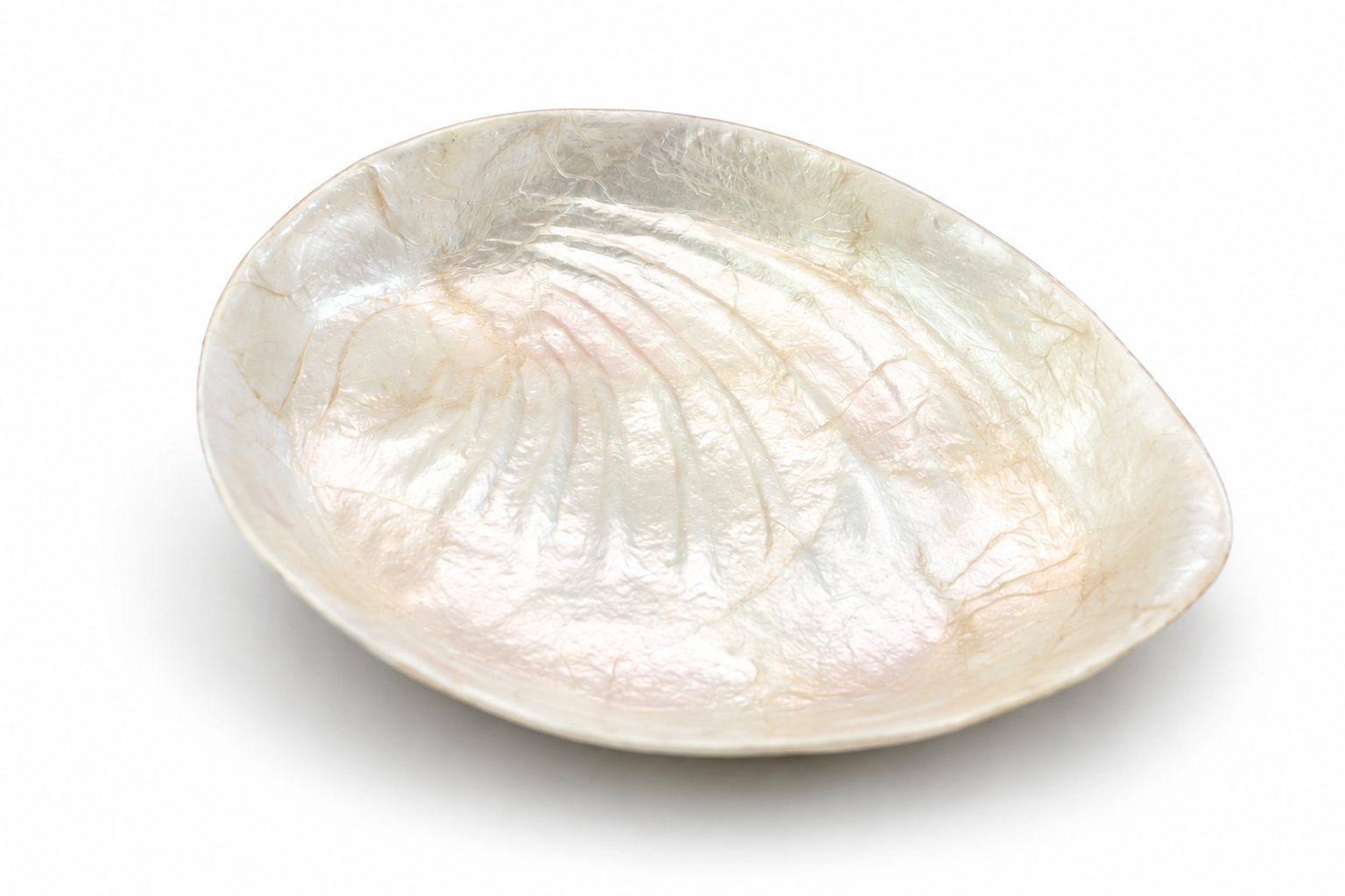 SOAP DISH CAPIZ LEAF