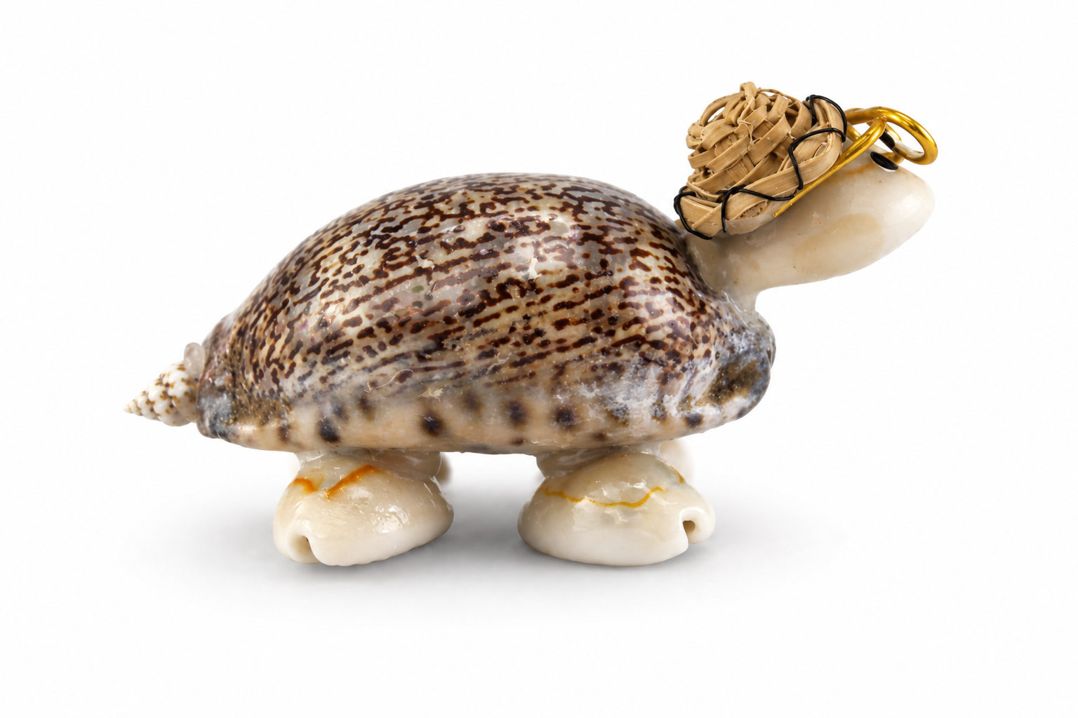 ARABICA SINGLE TURTLE