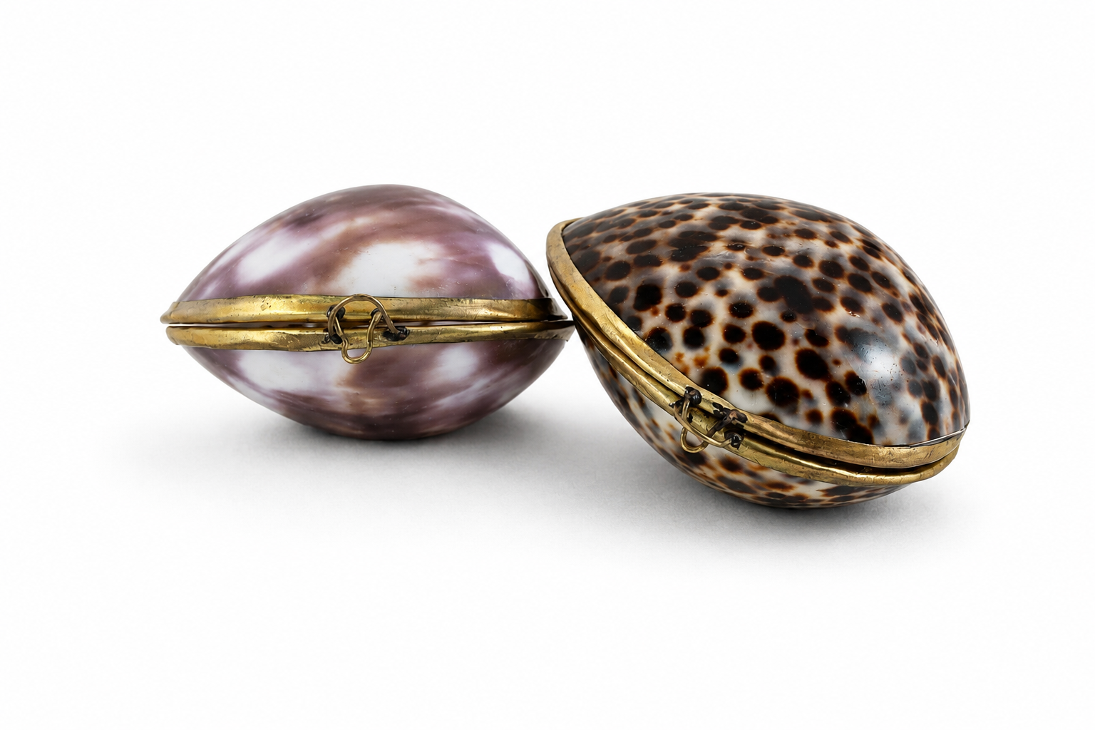 PURSE COWRY