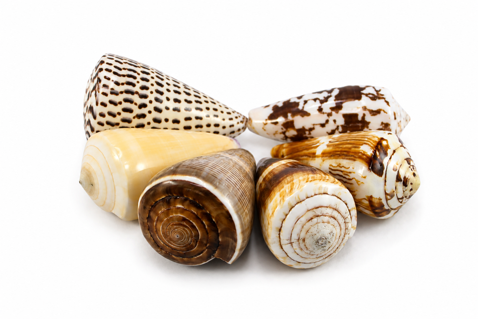 ASSORTED CONUS