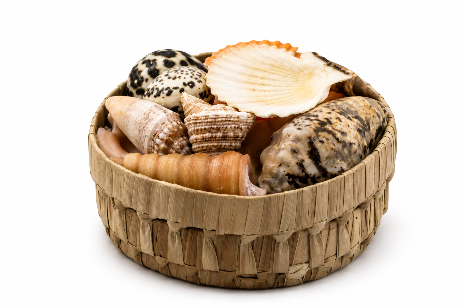 PANDAN SHELL PACK ROUND W/O STARFISH
