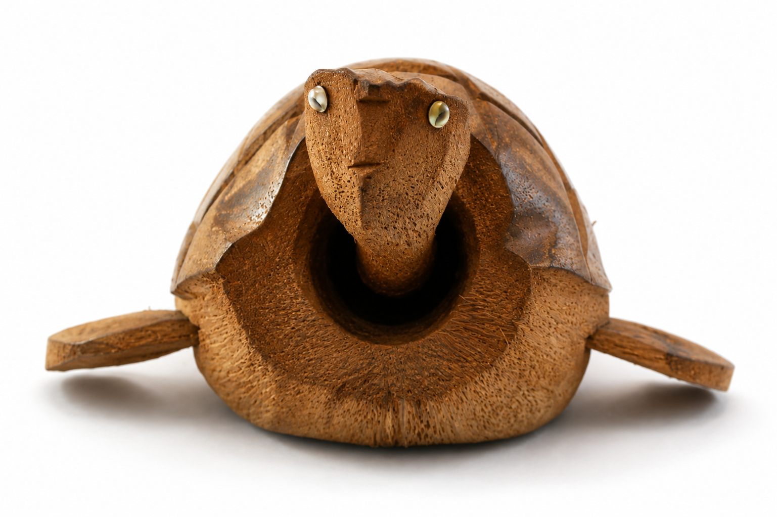 COCONUT TURTLE W/ MOVING HEAD