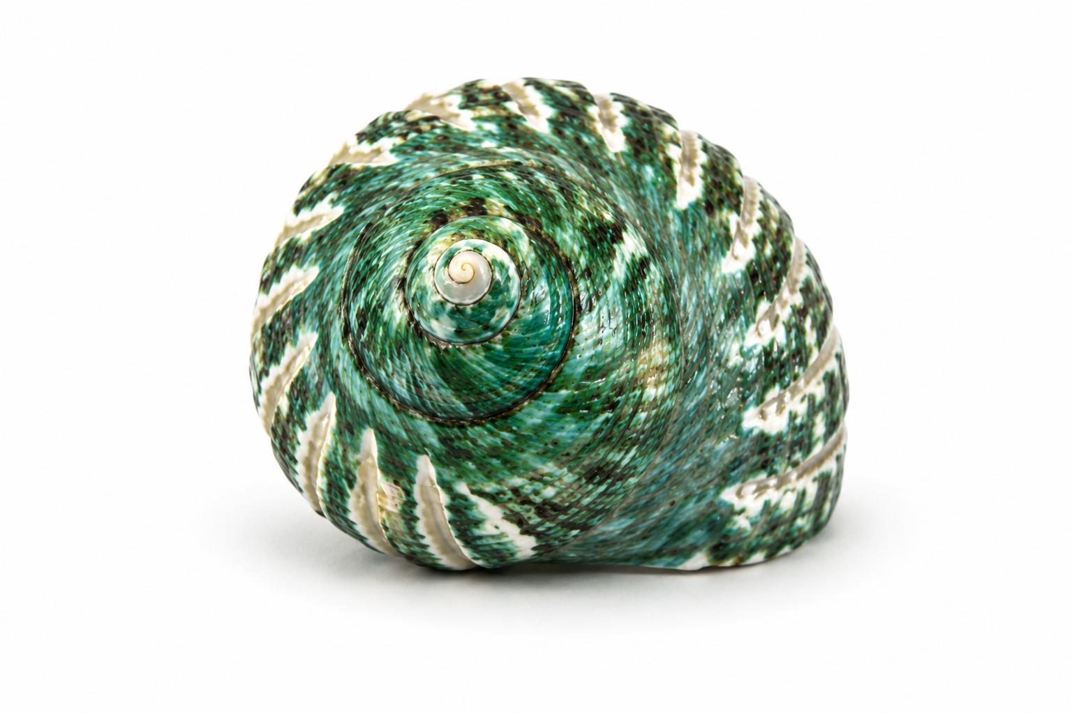 TURBO BURGESS STRIPE