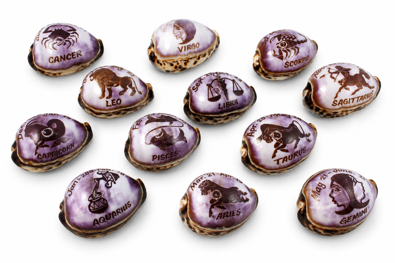 CYPRAEA TIGRIS ZODIAC DESIGN