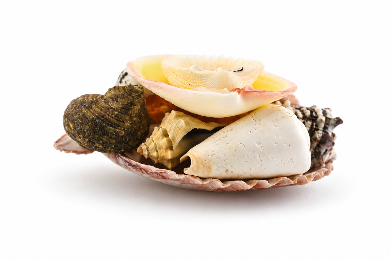 TIGRINA SHELL PACK
