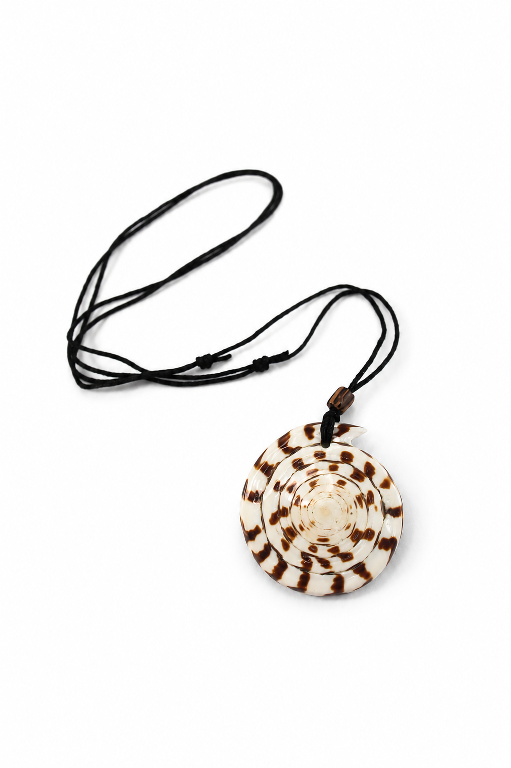 PENDANT CONUS LITTERATUS